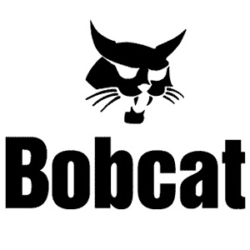 Bobcat